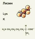 Молекула L-лизина. Источник: www.km.ru