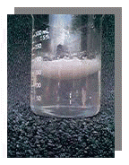 Liquid Chitosan/Fat Reaction